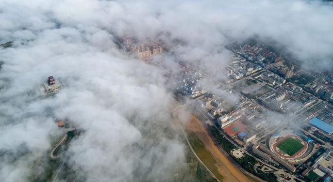 環(huán)縣水族店，澎湃新聞環(huán)縣文舉水族店為何注銷環(huán)縣魚躍水族館