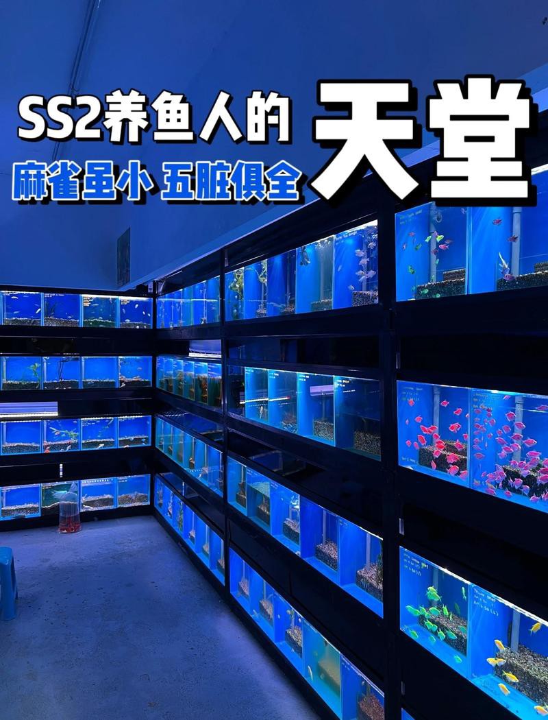 礦區水族店，《礦區水族店》