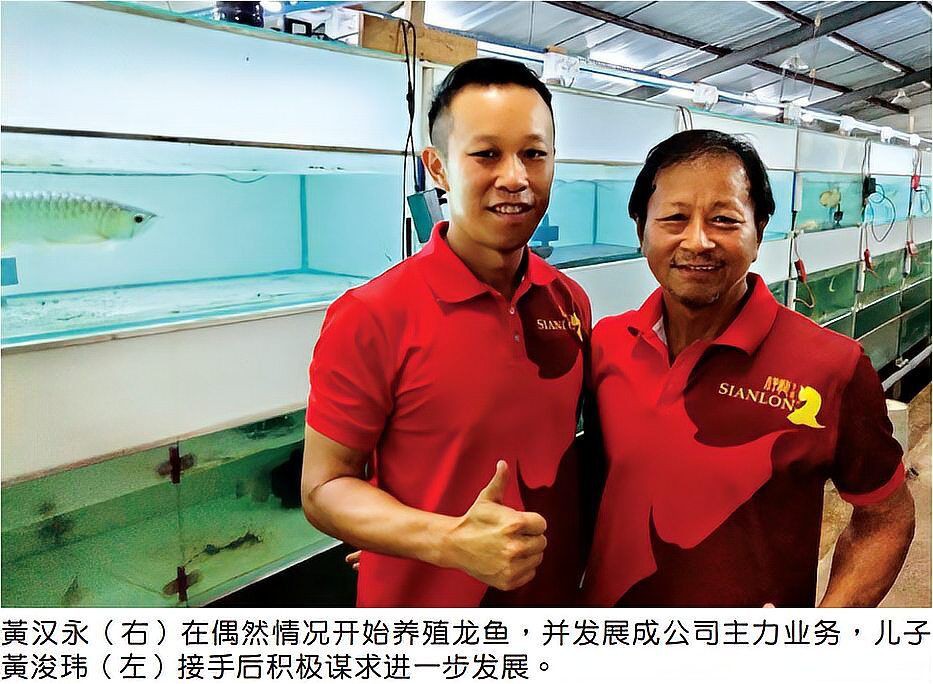 給我推薦幾家其他優質龍魚漁場，馬來西亞祥龍魚場