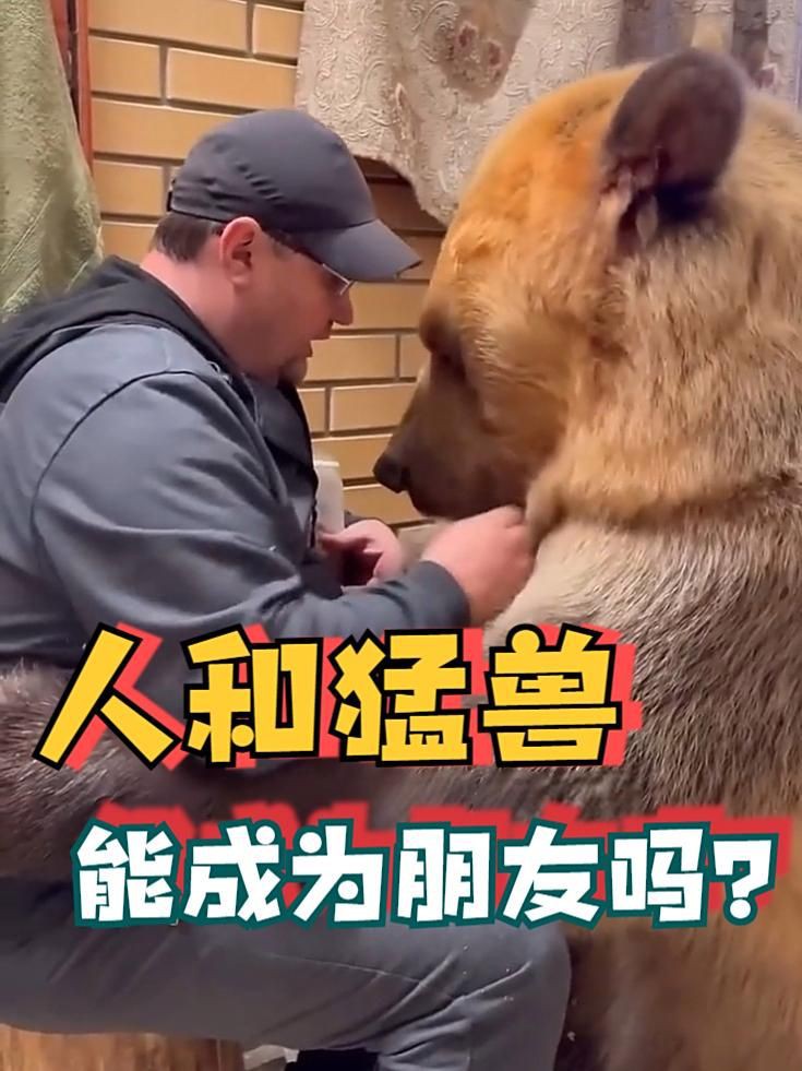 老虎養大了會咬主人嗎，老虎從小養大,會攻擊主人嗎