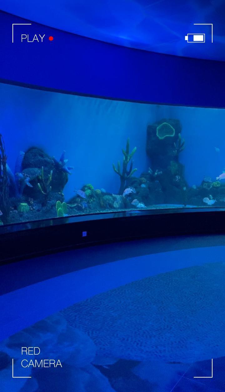永泰水族店，廣州永泰歐樂堡水族館 永泰水族店，廣州永泰歐樂堡水族館 全國水族館企業名錄 第1張