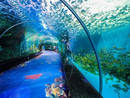 永泰水族店，廣州永泰歐樂堡水族館 永泰水族店，廣州永泰歐樂堡水族館 全國水族館企業名錄 第3張