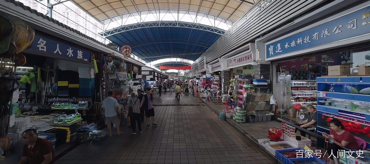 羅漢魚一般在哪里出售,羅漢魚市場價格 龍魚百科 第3張 羅漢魚一般在哪里出售,羅漢魚市場價格 羅漢魚一般在哪里出售,羅漢魚市場價格 龍魚百科 第3張