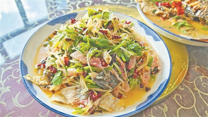 漠河龍魚店，官網(wǎng)迎旅發(fā)游龍江|“魚”你相約“莓”好未來