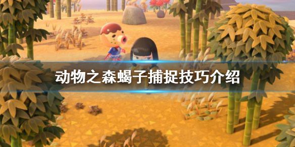 動(dòng)森蝎子可以干嘛，《動(dòng)森經(jīng)濟(jì)學(xué)友會(huì)》蝎子捕捉技巧