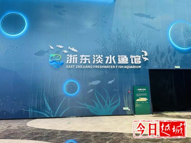 紹興水族店，紹興多家特色水族店即將亮相浙東淡水魚館聽魚的故事