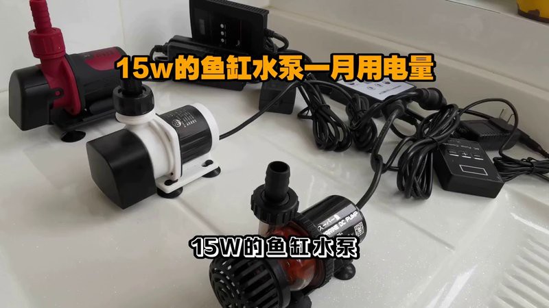 吉羅缸和龍魚缸哪個(gè)更費(fèi)電，吉羅缸和龍魚缸哪個(gè)更費(fèi)電150瓦深度測(cè)評(píng)視頻