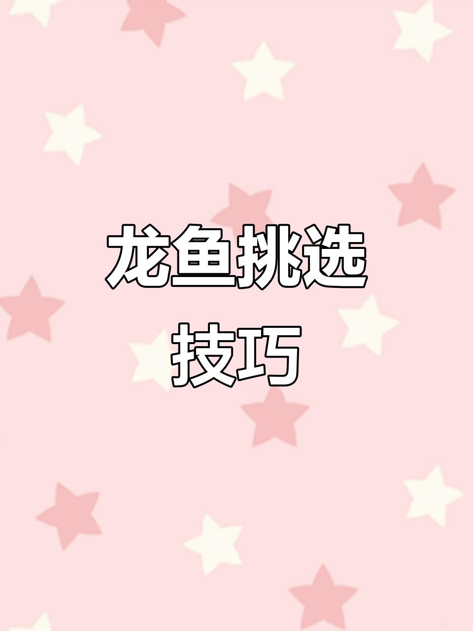 如何鑒別風水龍魚的品相？，如何挑選優質龍魚體型、鱗片、觸須全解析風水龍魚品相