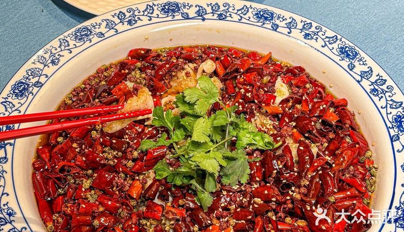 綿竹龍魚店，上海綿竹龍魚店pro【綿竹龍魚缸圖片大全