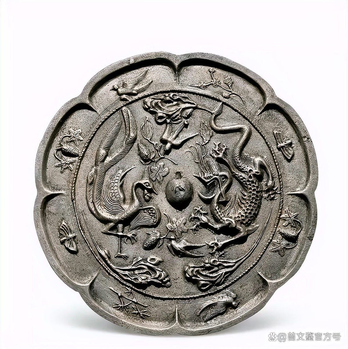 鳳凰的起源和歷史，《山海經(jīng)》系統(tǒng)記載了鳳凰完整的道德象征的道德象征 鳳凰的起源和歷史，《山海經(jīng)》系統(tǒng)記載了鳳凰完整的道德象征的道德象征 龍魚論壇 第10張