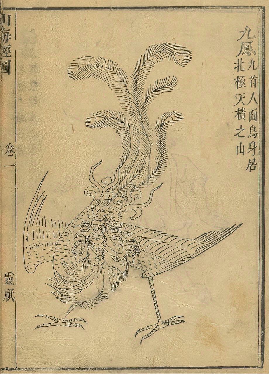 鳳凰的壽命有多長，鳳凰的壽命在不同文化語境下存在差異