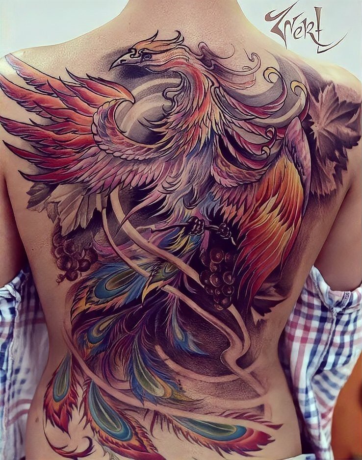 鳳凰的壽命有多長，鳳凰的壽命在不同文化語境下存在差異