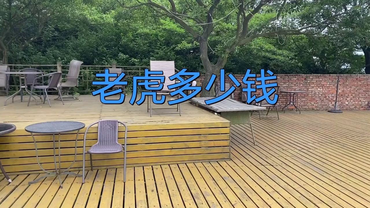 老虎多錢一只？，《老虎多錢一只》聚焦于老虎這一珍稀動(dòng)物市場(chǎng)價(jià)值探討