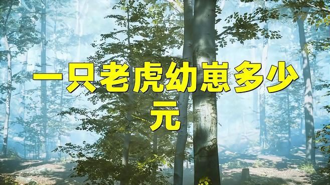 老虎多錢一只？，《老虎多錢一只》聚焦于老虎這一珍稀動(dòng)物市場(chǎng)價(jià)值探討