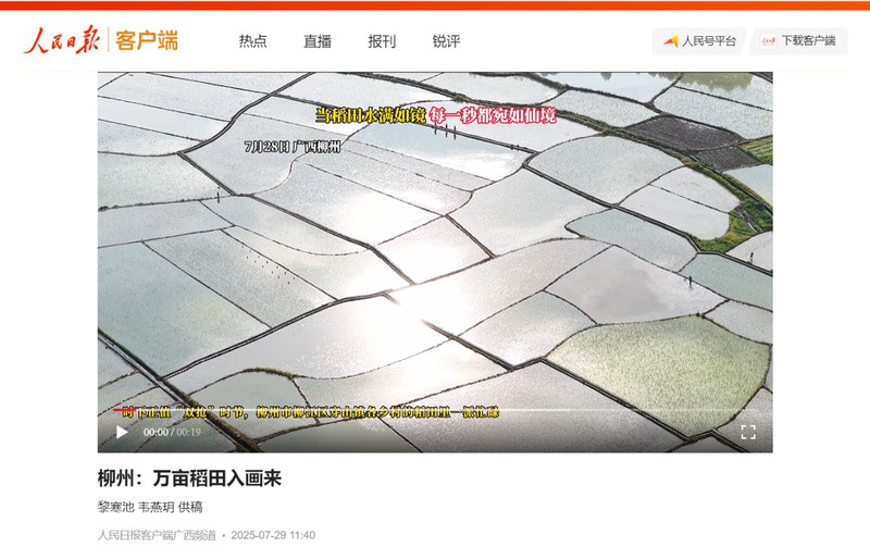 柳江龍魚店，廣西柳江區(qū)產(chǎn)業(yè)一線丨一條錦鯉賣了37萬