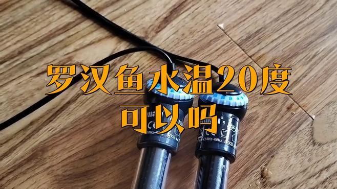 羅漢魚20度能活嗎，羅漢魚水溫多少度最佳不可低于多少度
