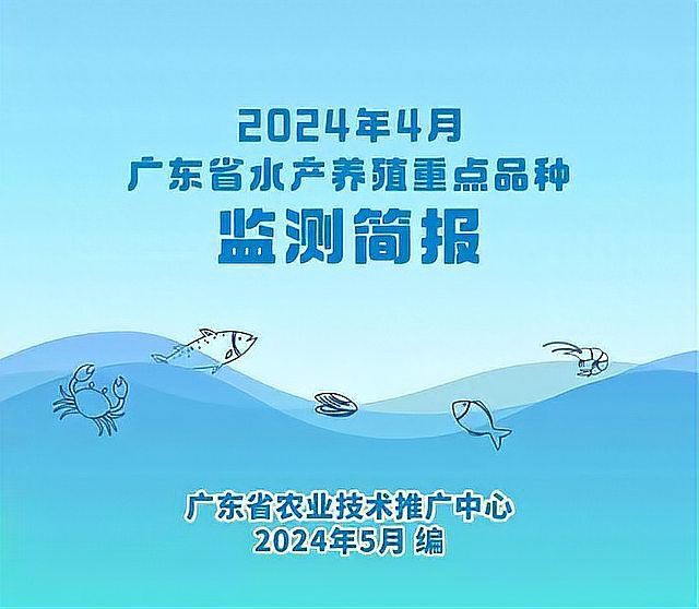 羅漢魚(yú)2024最新價(jià)格走勢(shì)，2024年羅漢魚(yú)價(jià)格呈現(xiàn)多樣化趨勢(shì)