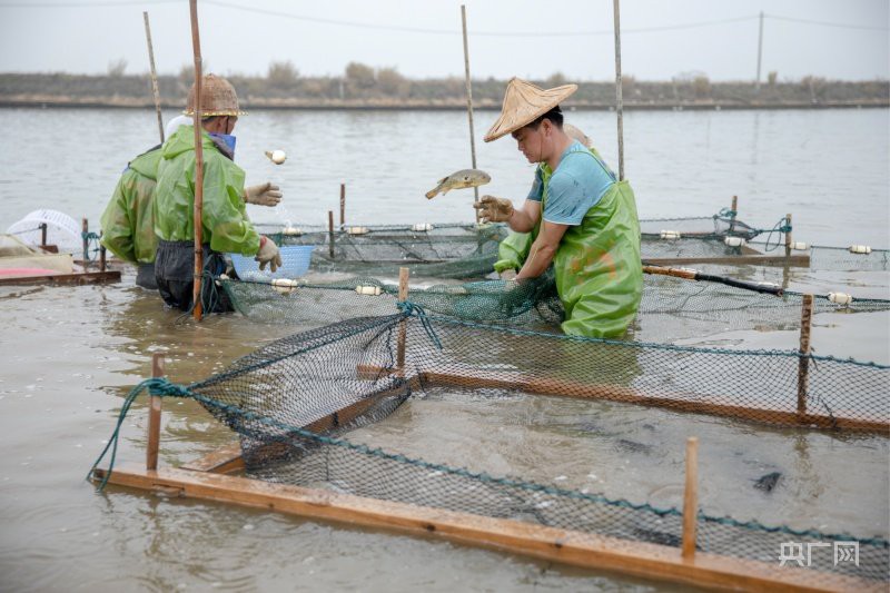 漳浦龍魚店，漳浦縣龍清水產品店