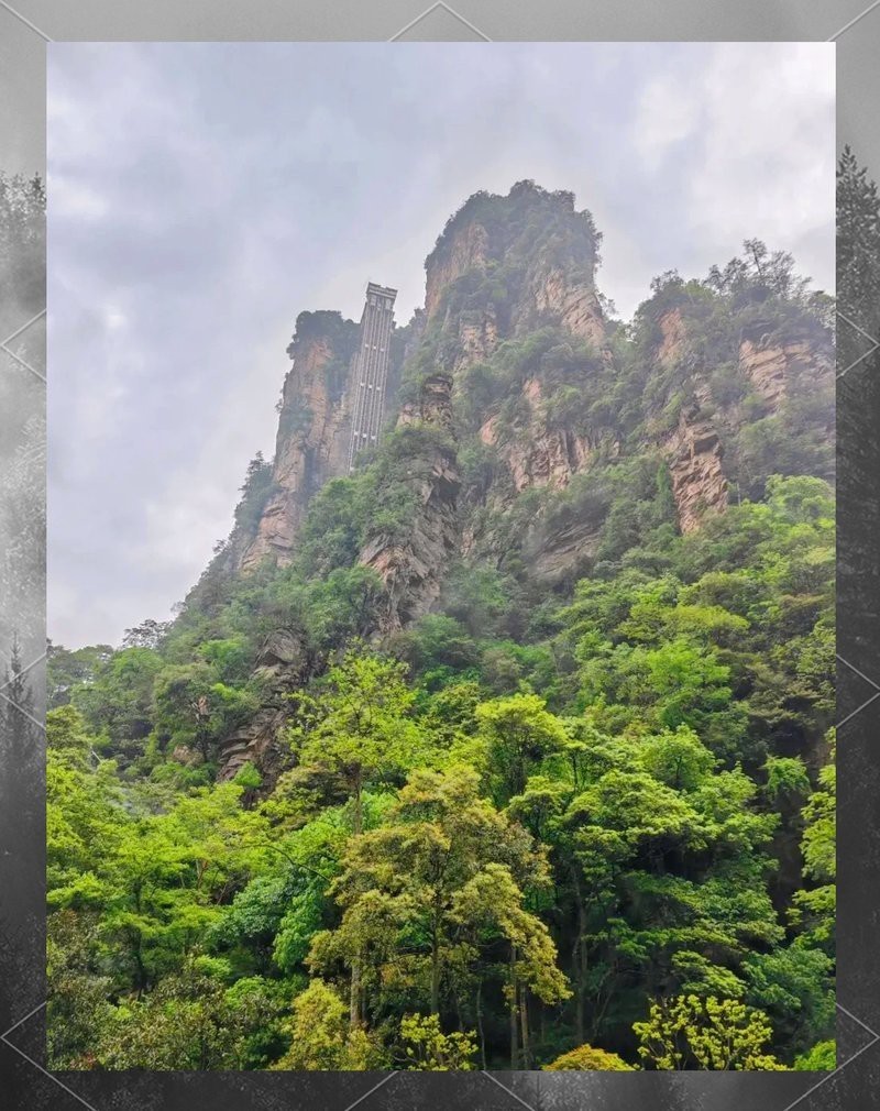 武陵源龍魚(yú)店，張家界武陵源龍魚(yú)店