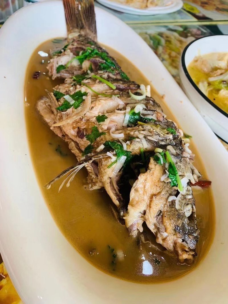 扎賚諾爾龍魚店，呼倫貝爾的隱藏美食天堂扎賚諾爾龍魚店有哪些推薦 扎賚諾爾龍魚店，呼倫貝爾的隱藏美食天堂扎賚諾爾龍魚店有哪些推薦 全國水族館企業名錄 第1張