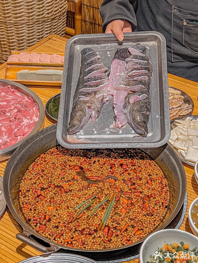 河西龍魚店，河西地區龍魚店鋪