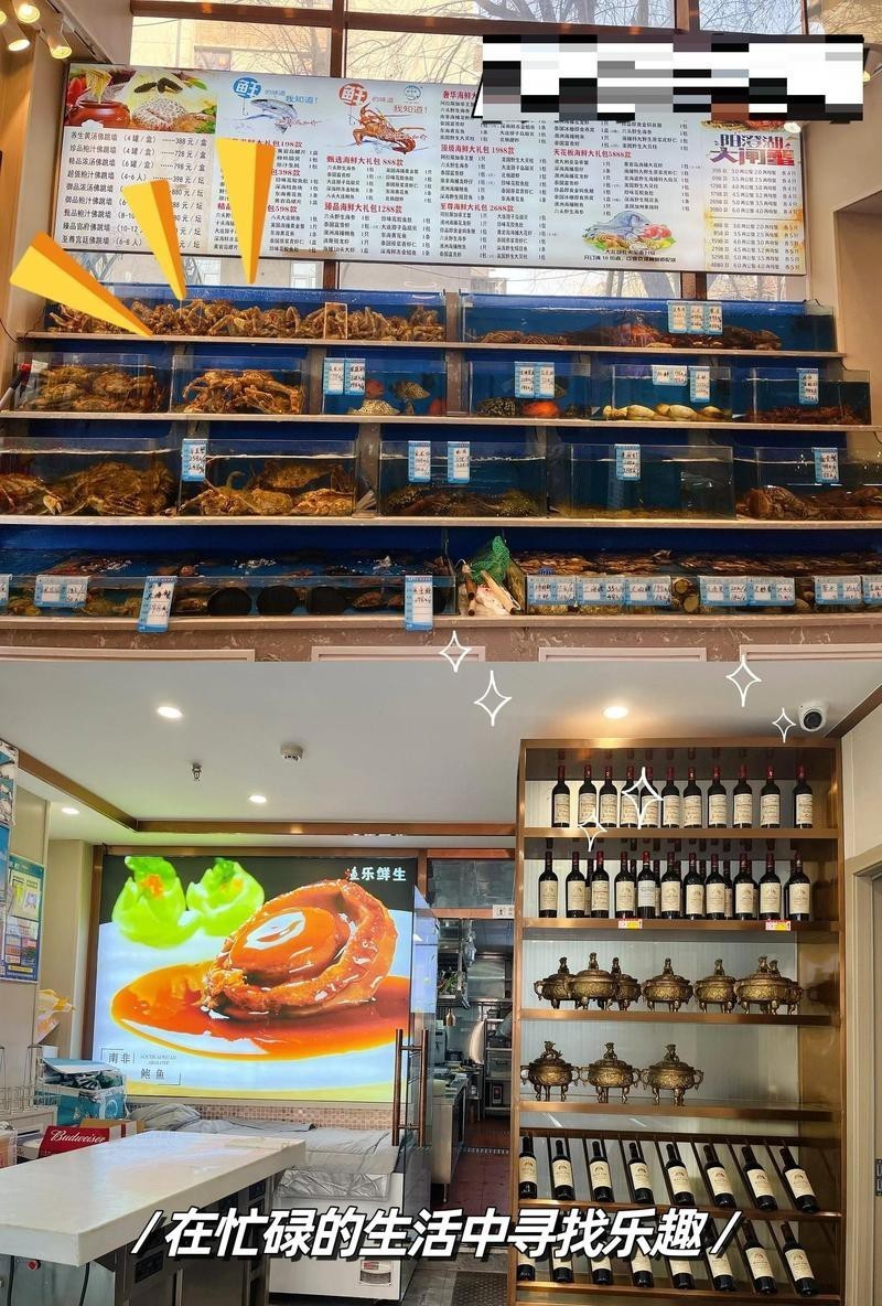 河西龍魚店，河西地區龍魚店鋪