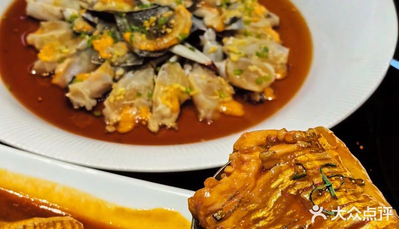 河西龍魚店，河西地區龍魚店鋪