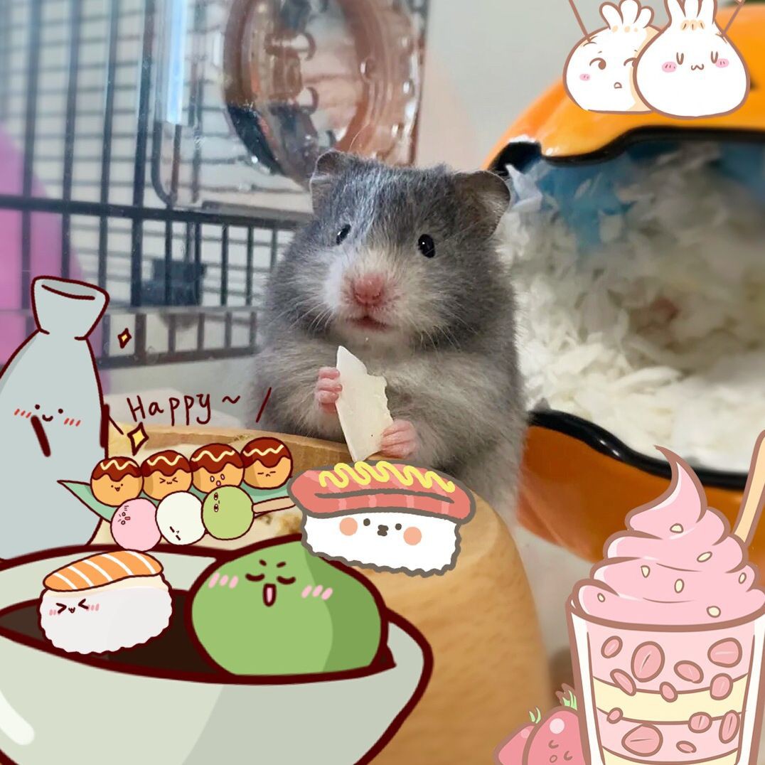 家常魚的做法，六道經典家常魚料理大全：紅燒魚塊（草魚版草魚版） 家常魚的做法，六道經典家常魚料理大全：紅燒魚塊（草魚版草魚版） 全國水族館企業名錄 第4張