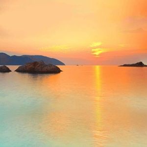 家常魚的做法，六道經典家常魚料理大全：紅燒魚塊（草魚版草魚版） 家常魚的做法，六道經典家常魚料理大全：紅燒魚塊（草魚版草魚版） 全國水族館企業名錄 第14張