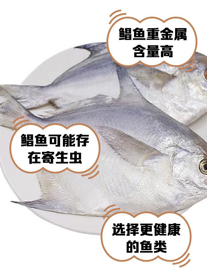 刀鯧魚盡量少吃的原因，刀鯧魚為什么不能吃實用生活日常飲食應盡量少吃刀鯧魚 刀鯧魚盡量少吃的原因，刀鯧魚為什么不能吃實用生活日常飲食應盡量少吃刀鯧魚 龍魚論壇 第5張