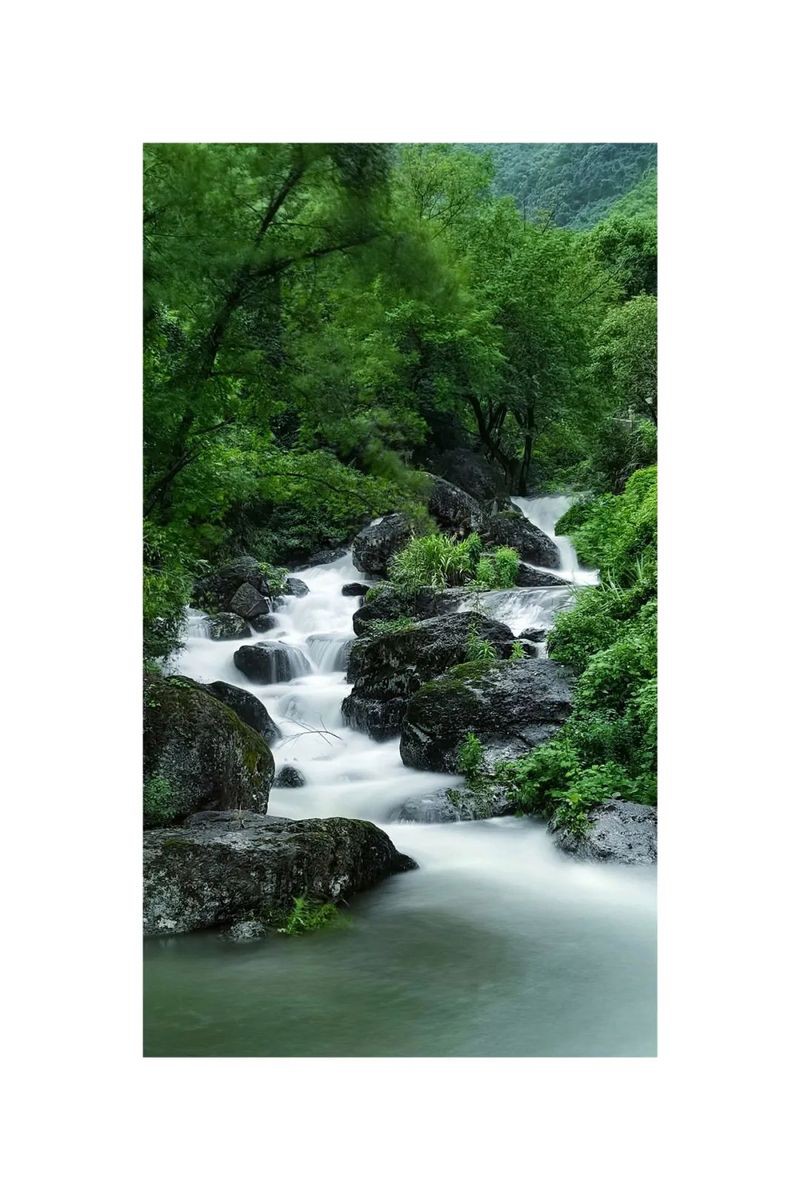 佛教對水的禪語，佛教中的“水”