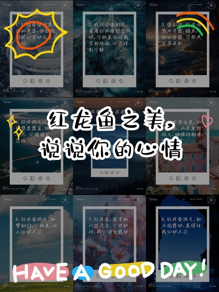 紅龍魚(yú)壁紙有哪些經(jīng)典款式？，紅龍魚(yú)主題壁紙
