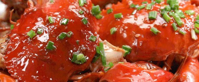 港南龍魚店，關(guān)于“港南龍魚店”的相關(guān)信息 港南龍魚店，關(guān)于“港南龍魚店”的相關(guān)信息 全國水族館企業(yè)名錄 第5張