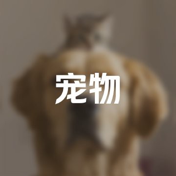 清浦水族店，森森水族魚缸觀賞魚專賣店哪家最好