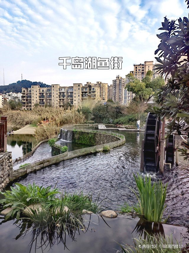 淳安水族店，浙江淳安縣吉印水族店 淳安水族店，浙江淳安縣吉印水族店 全國水族館企業(yè)名錄 第2張