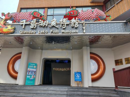 淳安水族店，浙江淳安縣吉印水族店 淳安水族店，浙江淳安縣吉印水族店 全國水族館企業(yè)名錄 第4張