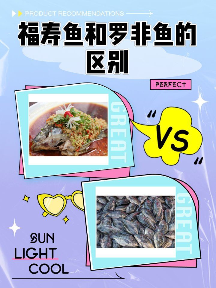 羅非魚和福壽魚哪個好，福壽魚和羅非魚的區別 羅非魚和福壽魚哪個好，福壽魚和羅非魚的區別 龍魚百科 第2張