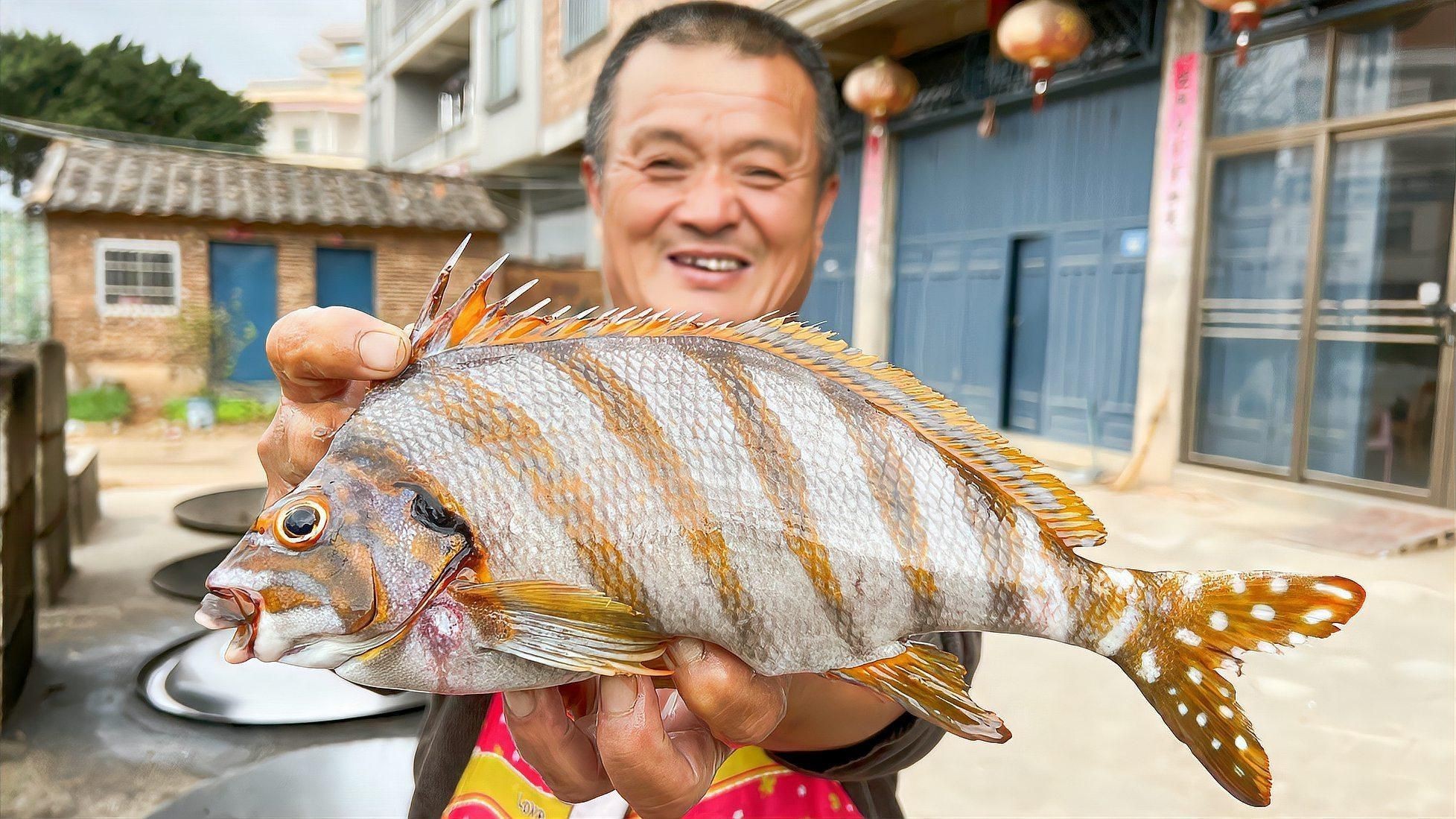 紅三刀魚一般建議買嗎，紅三刀魚值得購買需綜合考量多方面因素其作為養(yǎng)殖魚類