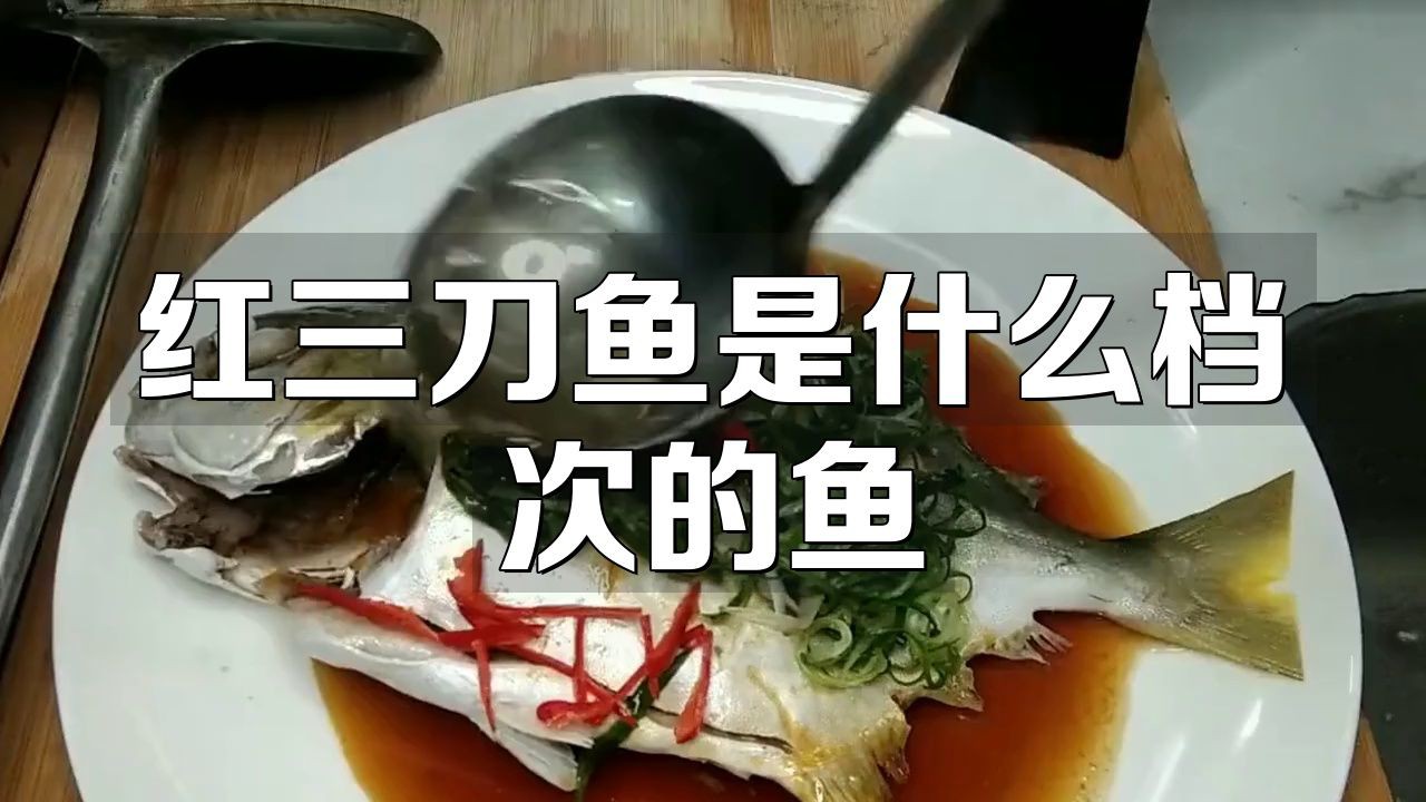 紅三刀魚一般建議買嗎，紅三刀魚值得購買需綜合考量多方面因素其作為養殖魚類