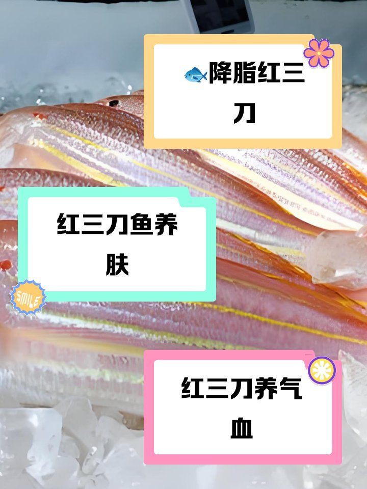 紅三刀魚一般建議買嗎，紅三刀魚值得購買需綜合考量多方面因素其作為養(yǎng)殖魚類