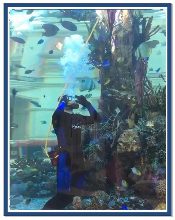 澳門水族店，攜程旅行澳門虛擬水族館游玩攻略 澳門水族店，攜程旅行澳門虛擬水族館游玩攻略 全國水族館企業名錄 第1張