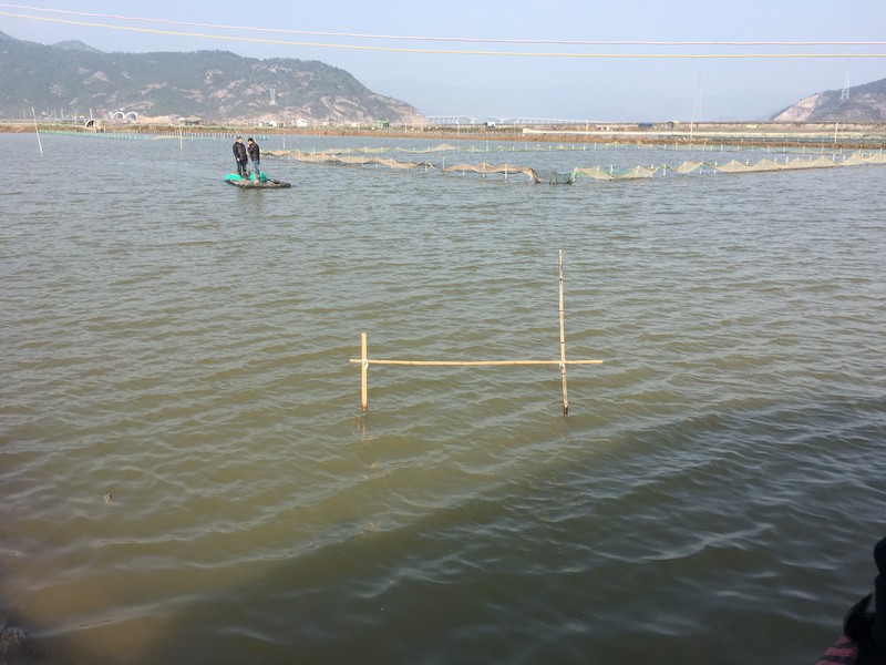 全國十強南美白對蝦苗，全國十強南美白對蝦產業發展全景分析