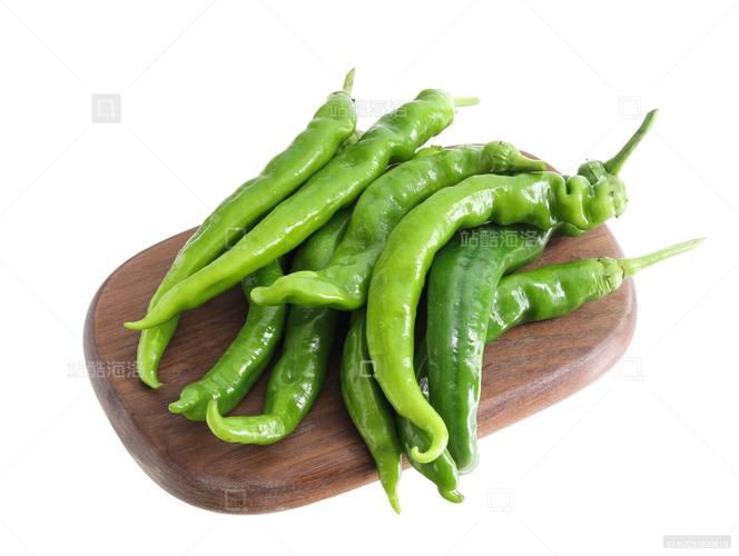 綠辣椒圖片，綠色辣椒圖片大全 綠辣椒圖片，綠色辣椒圖片大全 龍魚百科 第14張