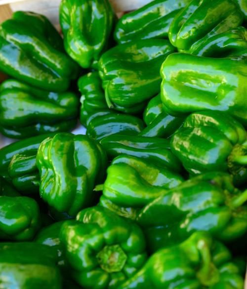 綠辣椒圖片，綠色辣椒圖片大全 綠辣椒圖片，綠色辣椒圖片大全 龍魚百科 第8張