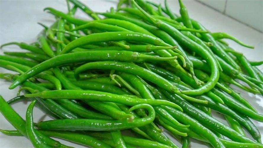 綠辣椒圖片，綠色辣椒圖片大全 綠辣椒圖片，綠色辣椒圖片大全 龍魚百科 第16張