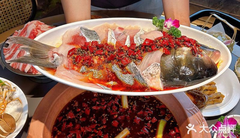 玉林龍魚店，廣西玉林龍魚店地址在哪里如何辨別紅龍魚的品種