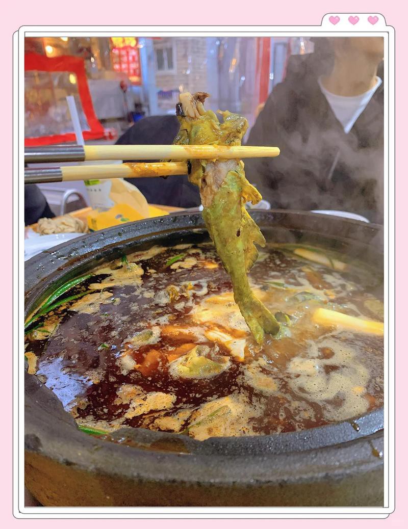 玉林龍魚店，廣西玉林龍魚店地址在哪里如何辨別紅龍魚的品種