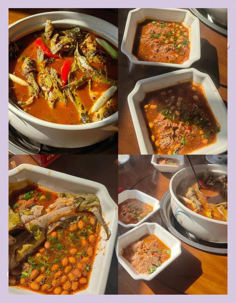 沾益龍魚店，哪家的龍魚最出名
