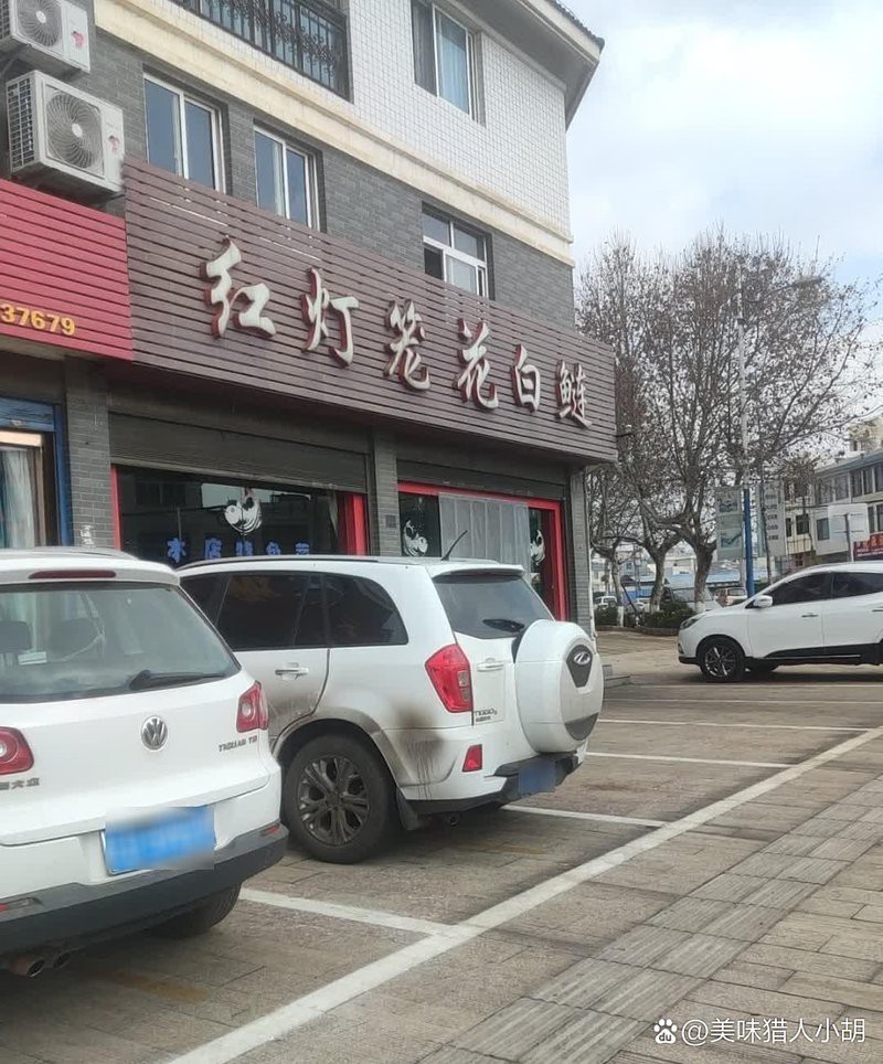 沾益龍魚店，哪家的龍魚最出名