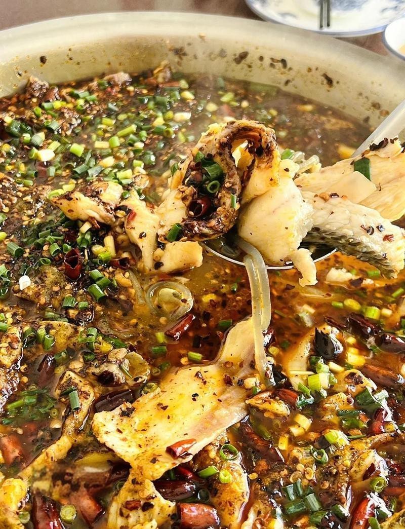 沾益龍魚店，哪家的龍魚最出名